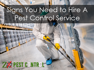 Pest Control Service