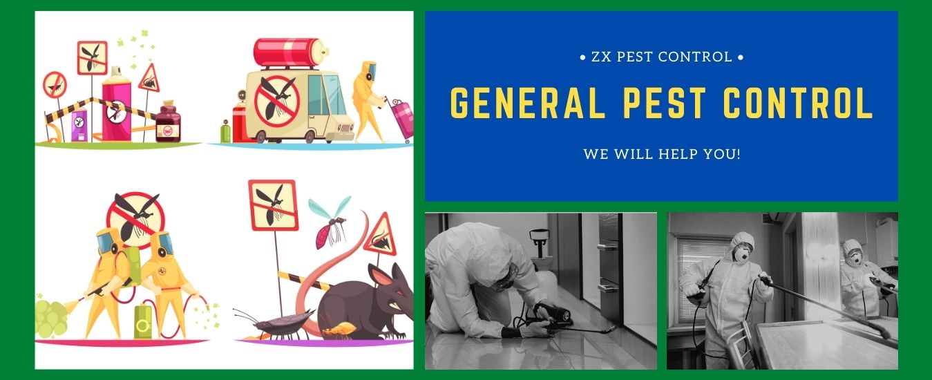 General Pest Control