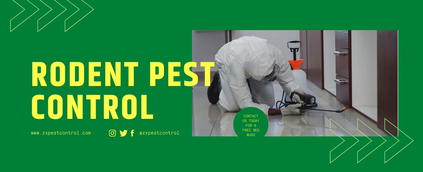 Rodent Pest Control